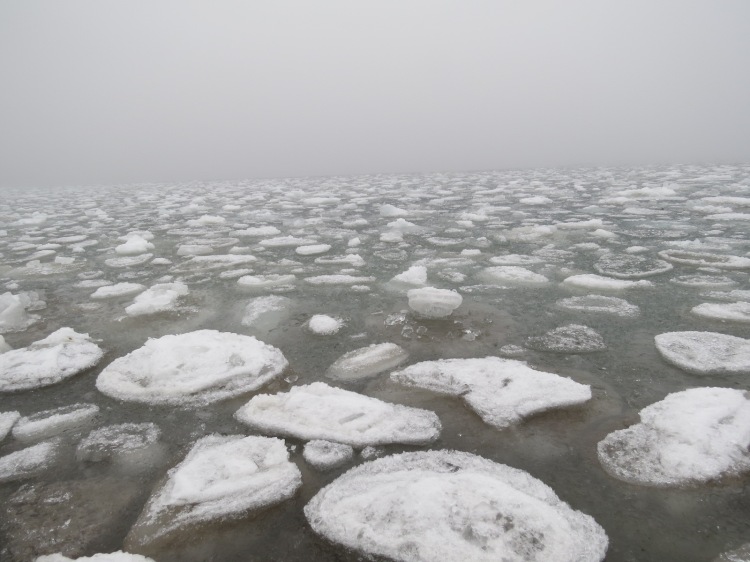 Foggy and icy Lake Ontario at Humber Bay Park East in Toronto, ON