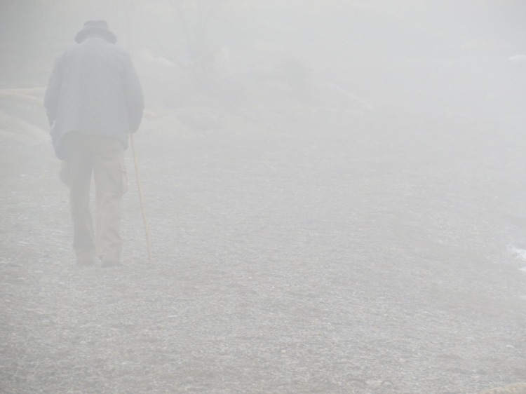 Walker in the fog at Humber Bay Park East in Toronto, ON